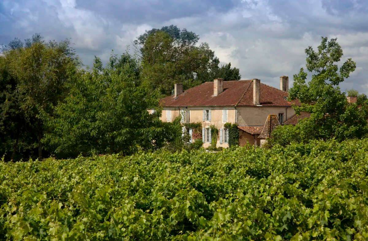 Cobrafire Evil Force Cask Strength Brandy