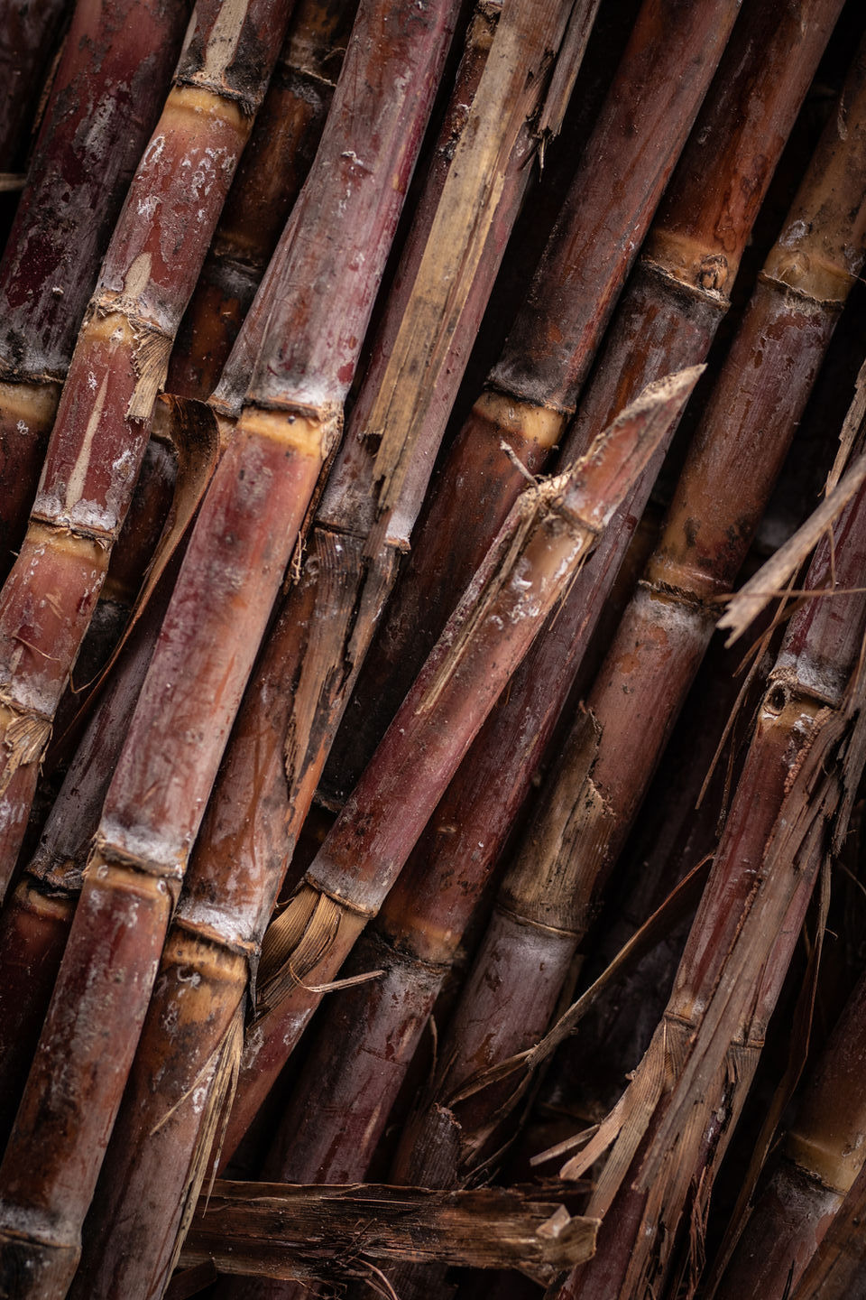 The Spirit of Haiti Clairin Communal