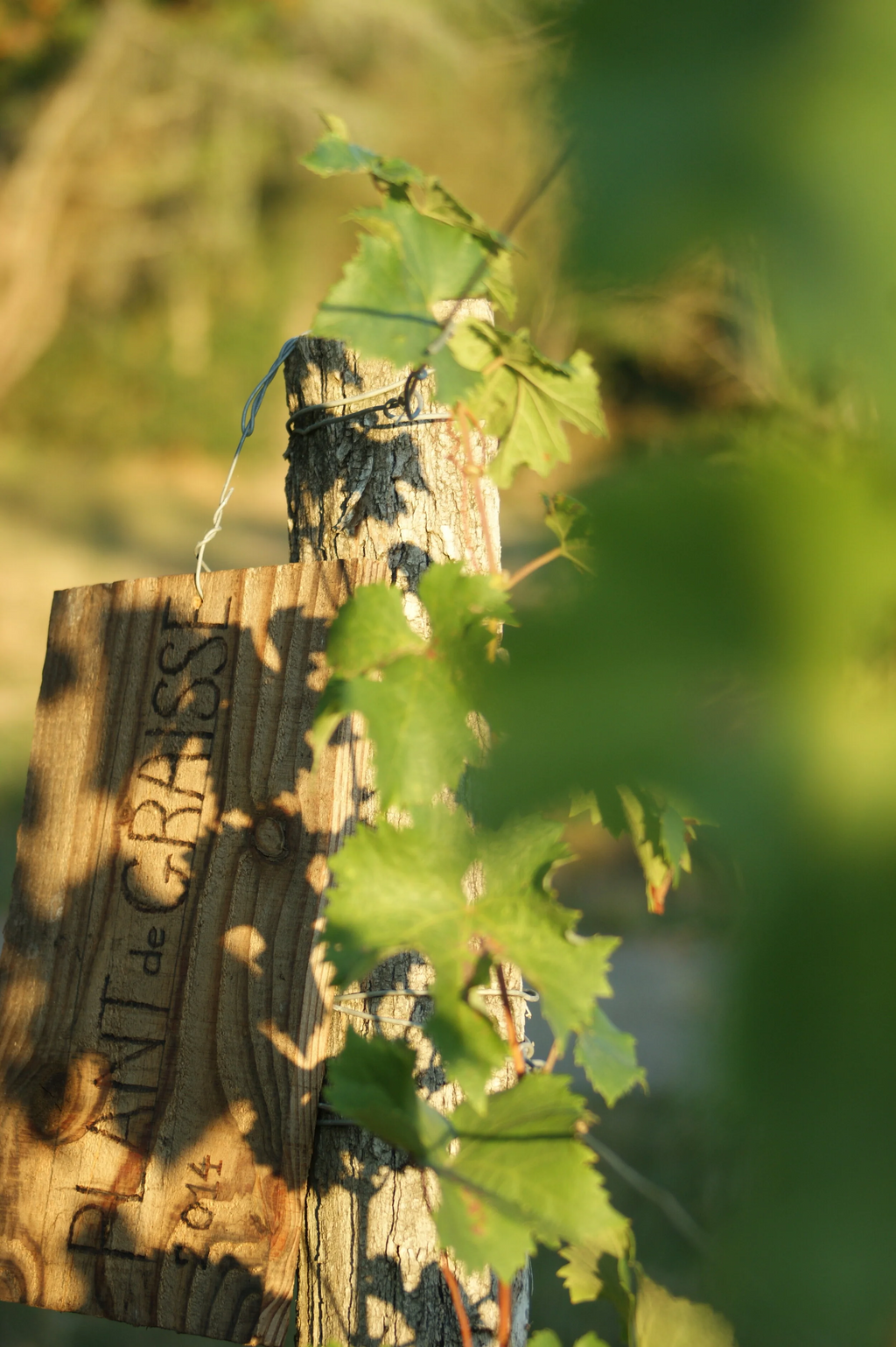 Domaine d'Aurensan Fantomes