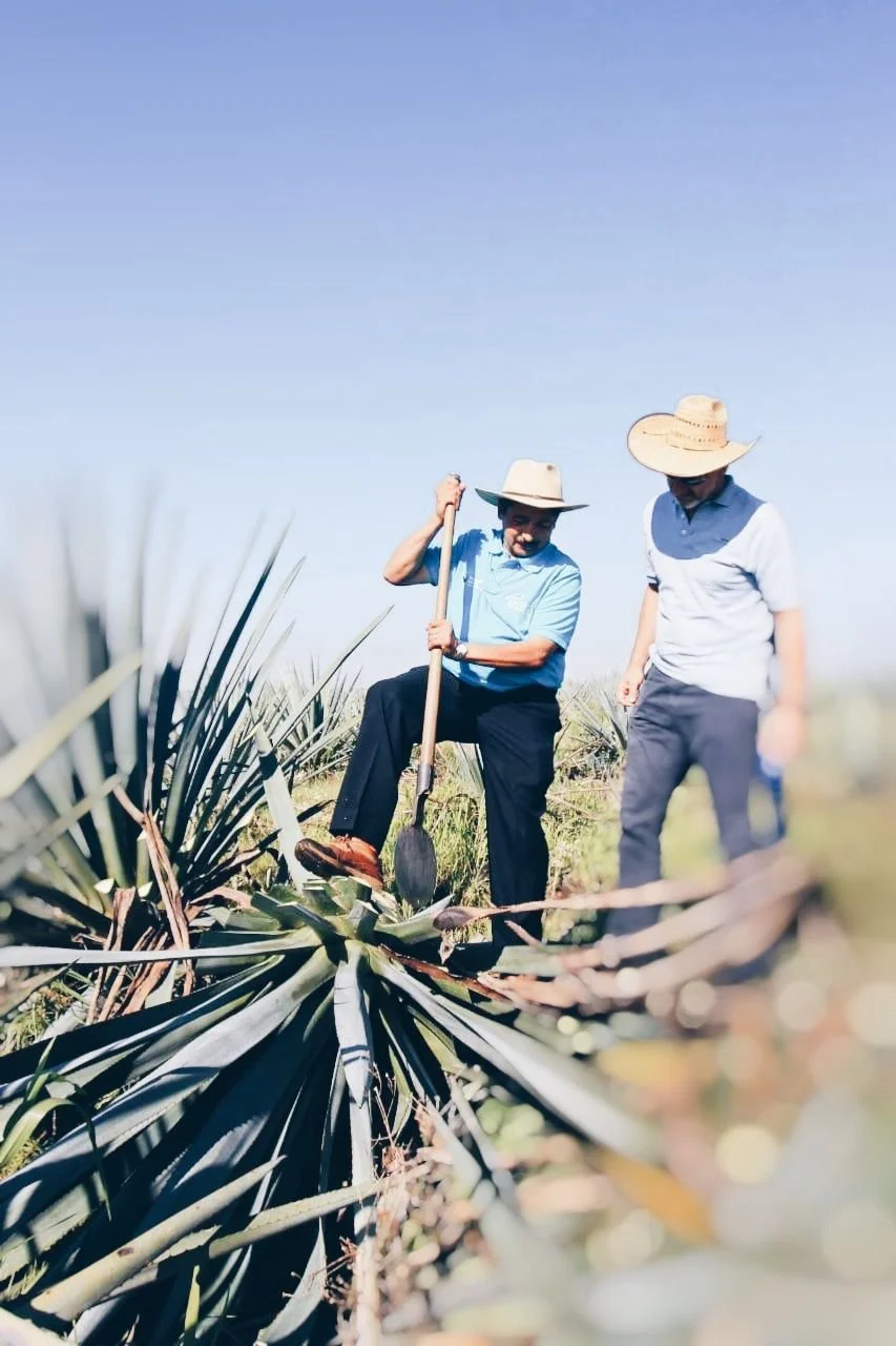Casa Vieja Reposado Tequila