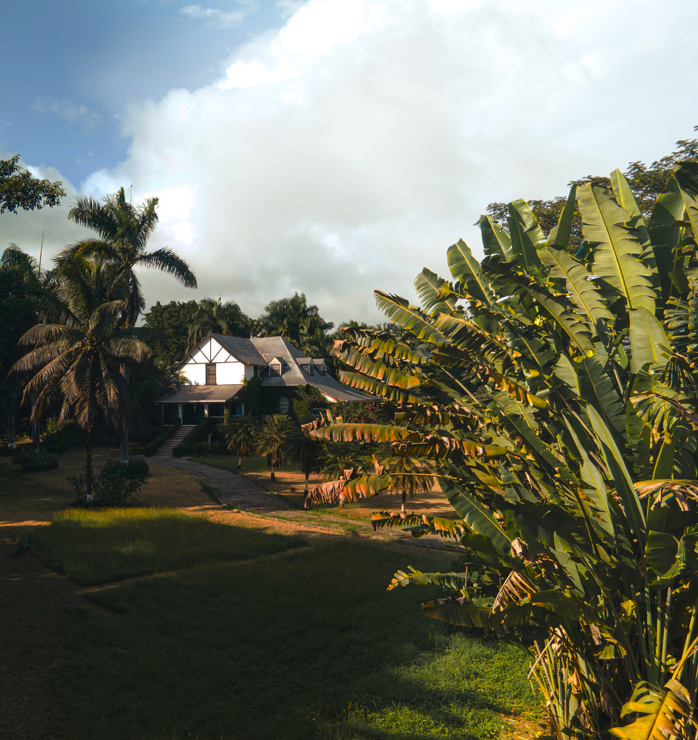 Hampden Estate Pagos Rum